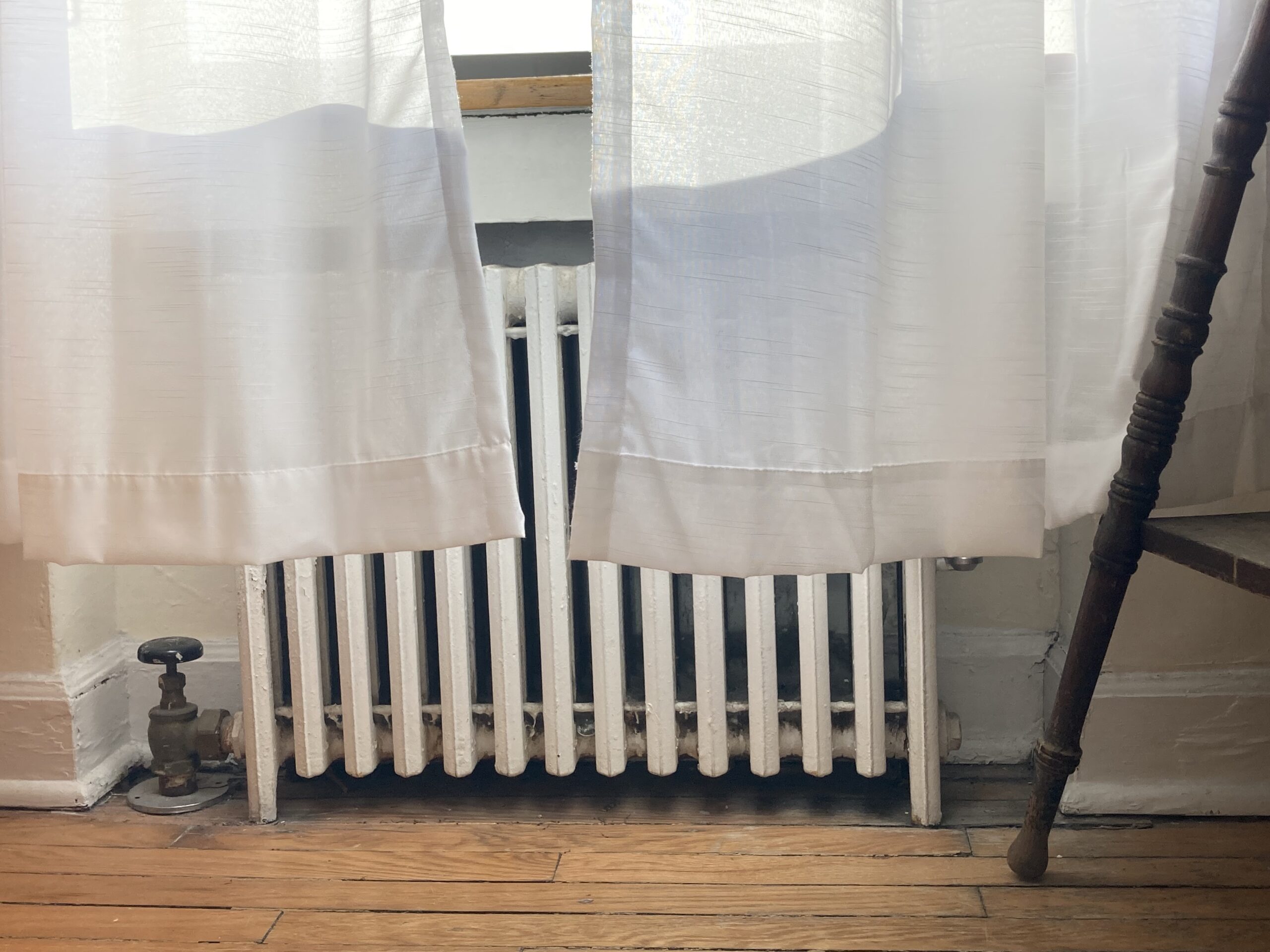 The Paris Review - My Curtains, My Radiator