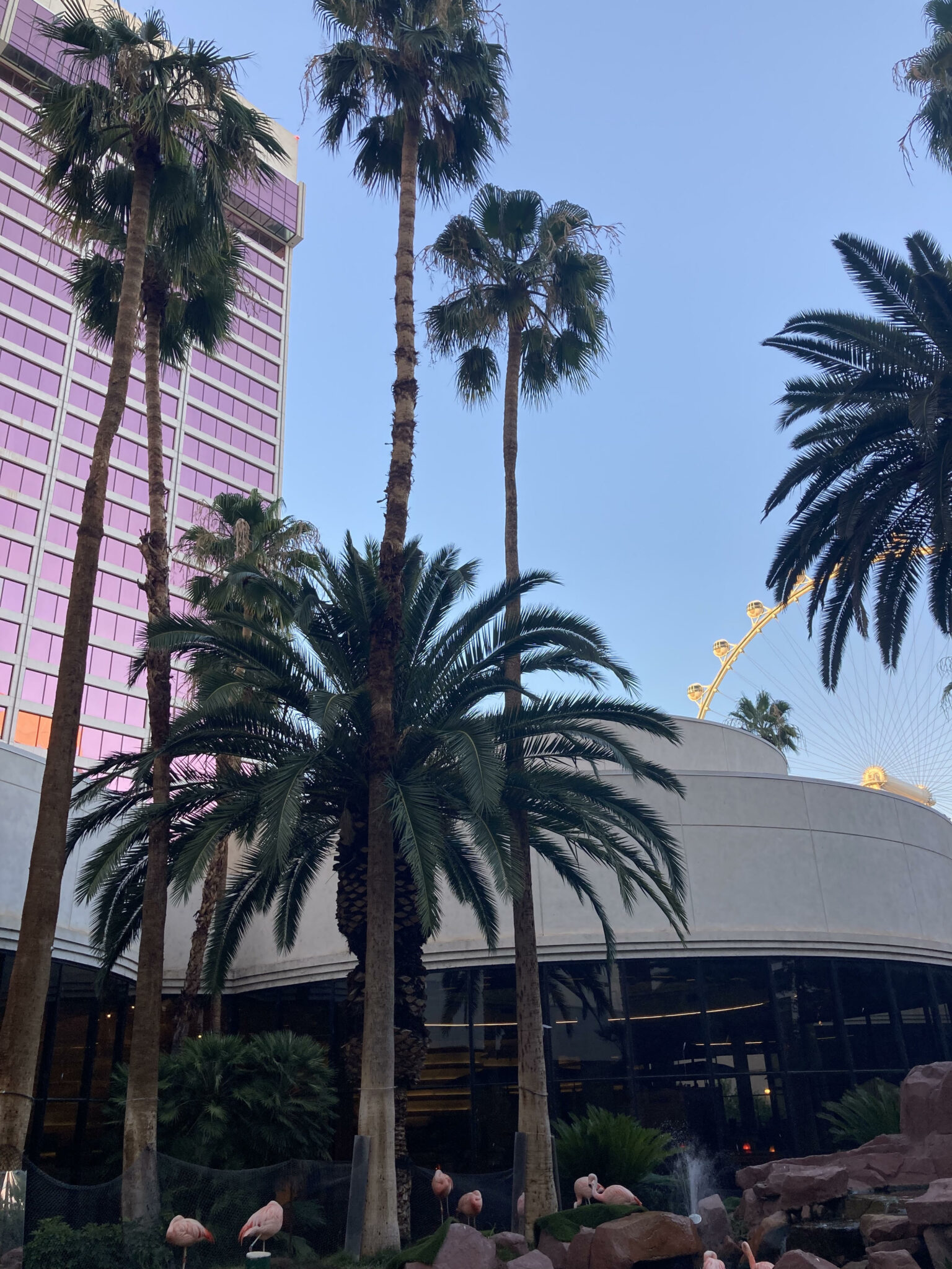 The Paris Review 115 Degrees, Las Vegas Strip The Paris Review