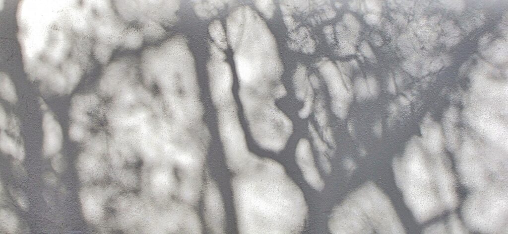 2016 366 313 november shadows 30569629850