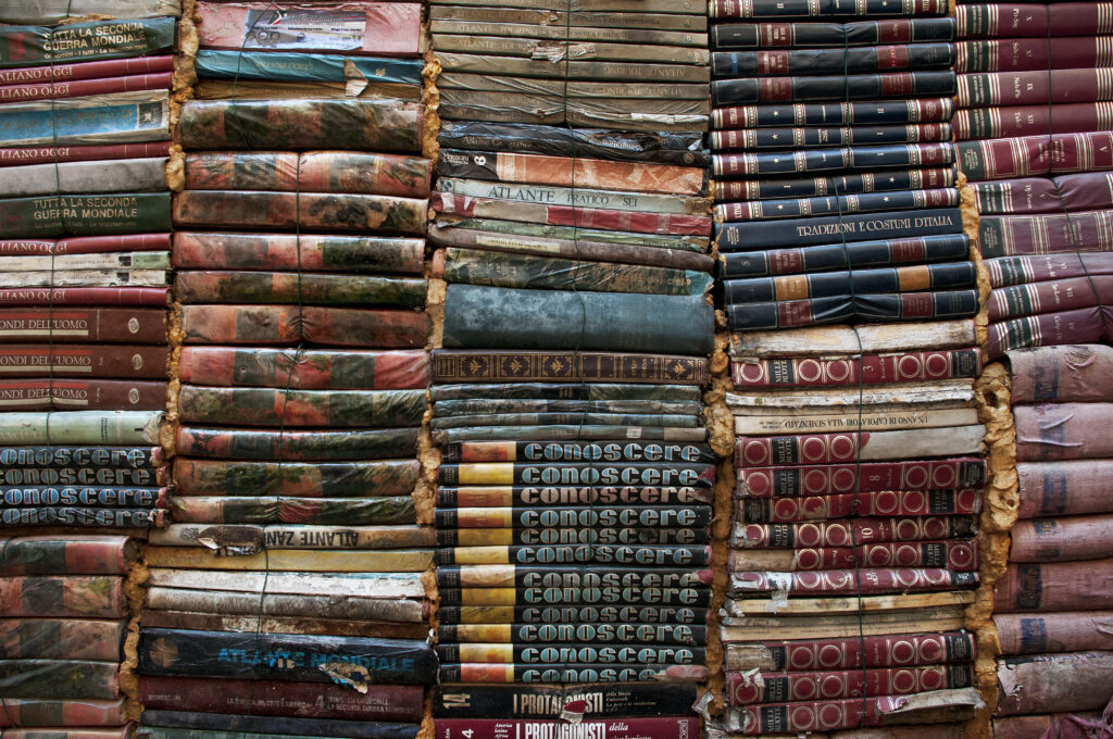 The Stipend by Deb Olin Unferth