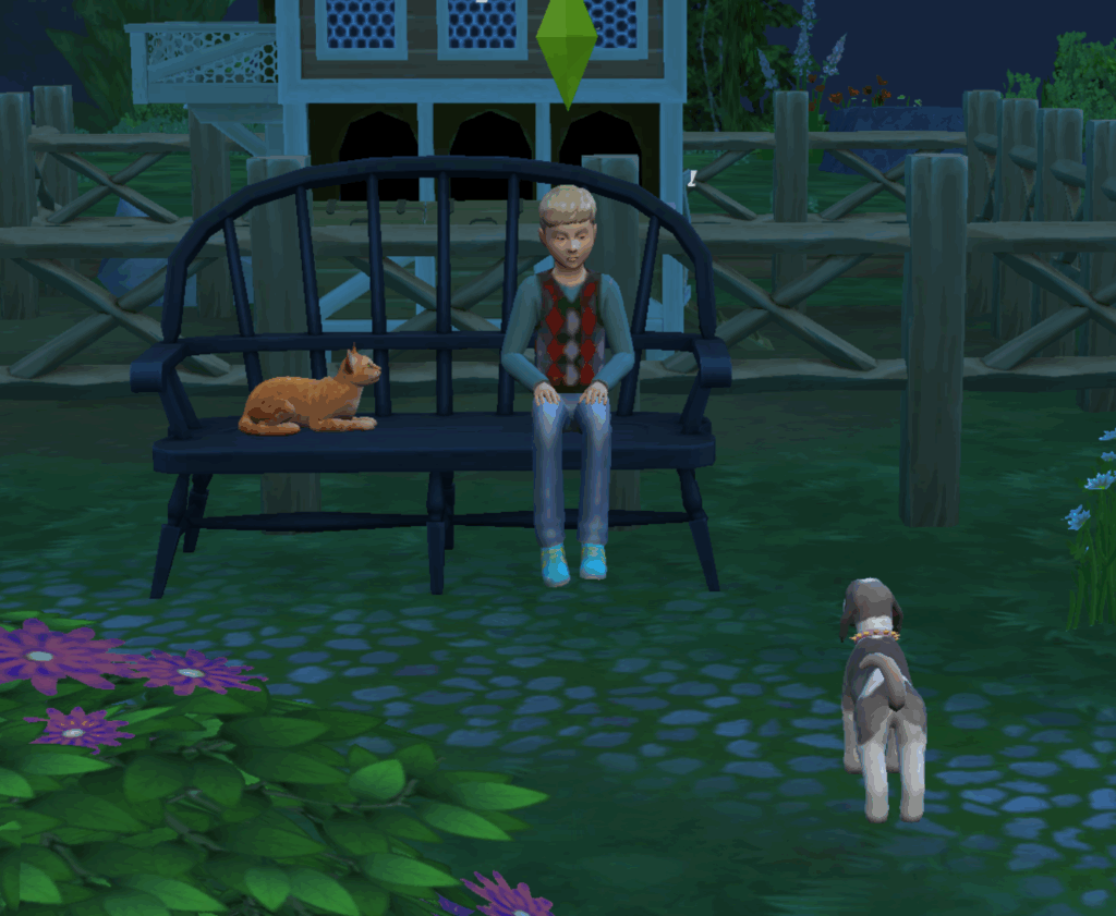 Sims Diary