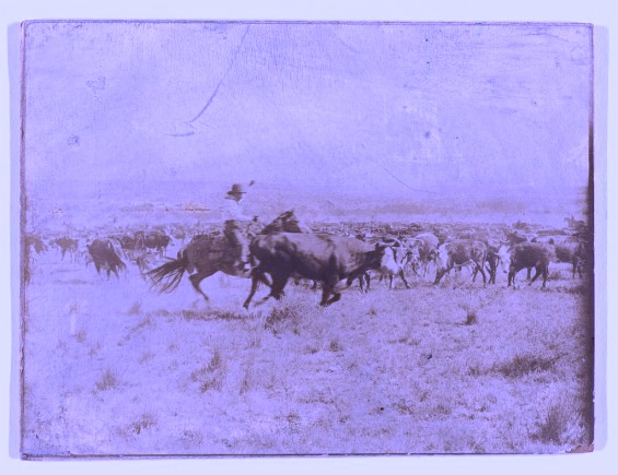 The Tootsie Roll: On