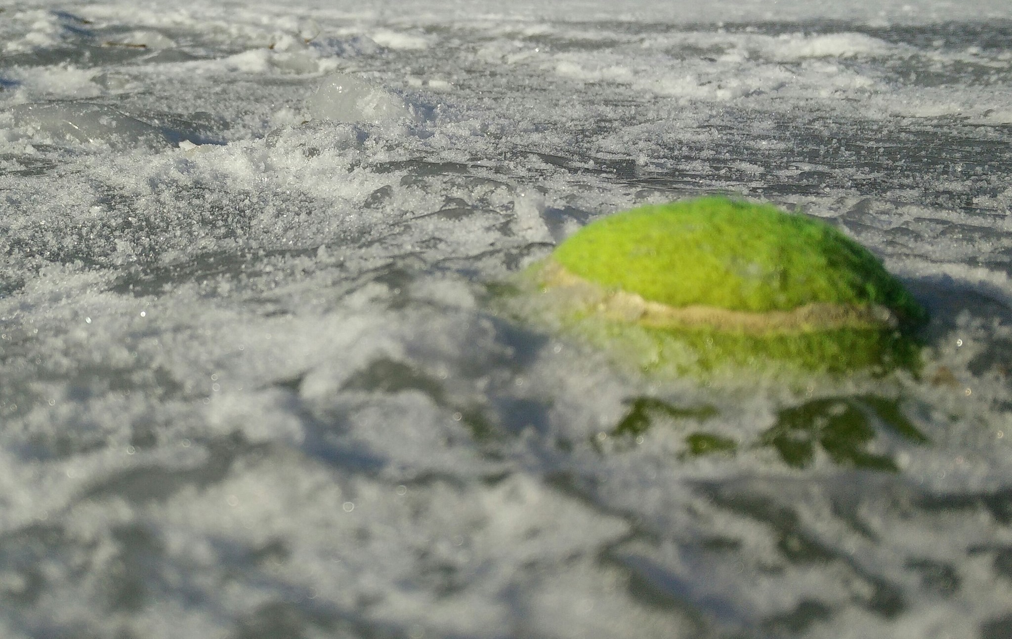 What’s So Funny About Infinite Jest?