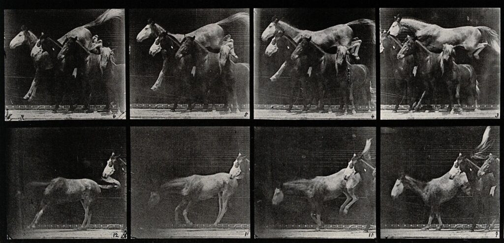 Three Horses