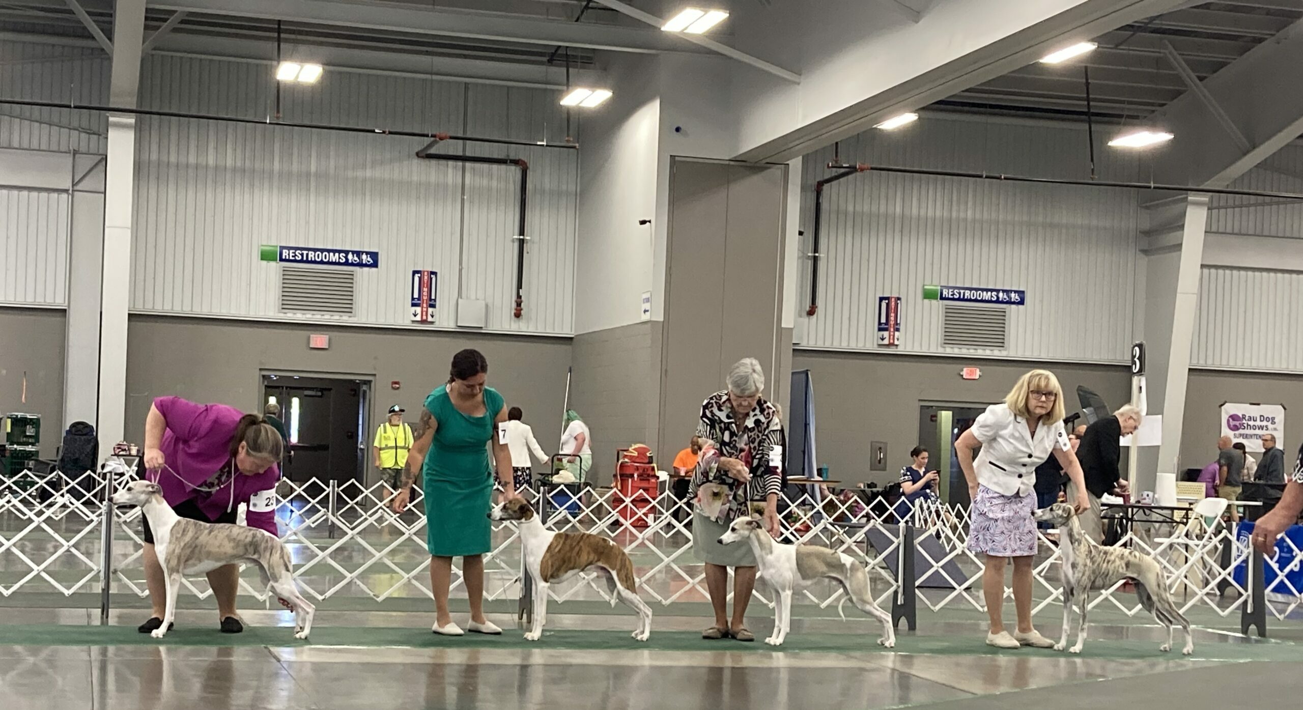 At the Conformation Show: Chasing the Ideal Dog by Hannah Berger