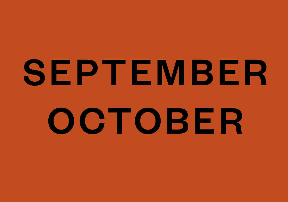 Passages We Underlined This Fall
