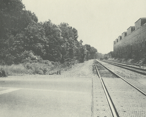 Passengers on the Night Train