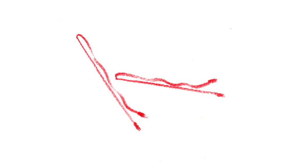 Paris Review - Echo - Vimarsana News