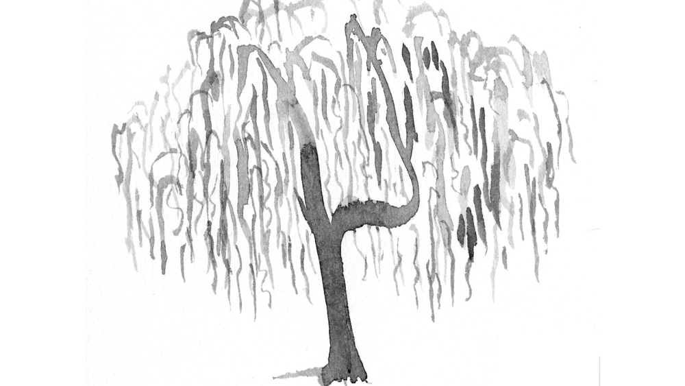 Paris Review - Small Craft Talk - Vimarsana News