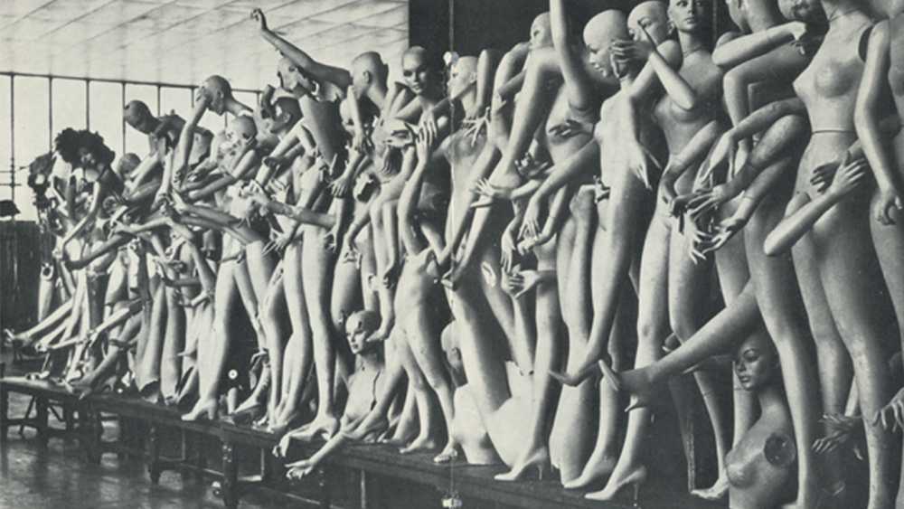 Paris Review - Supportive Husband - Vimarsana News