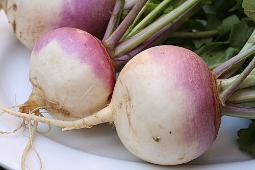 What You Can Get for Some of Your Turnips