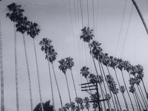 Journal, 1969–1970