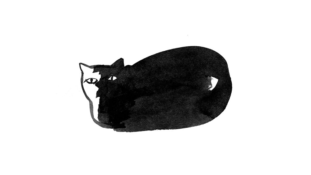 Paris Review - Cat in Portrait - Vimarsana News