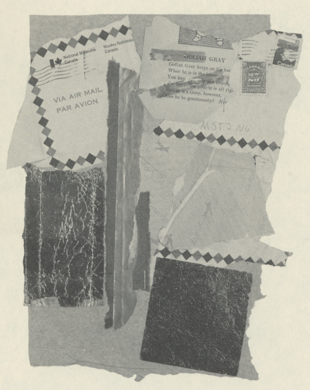 Bodily harm margaret atwood essays