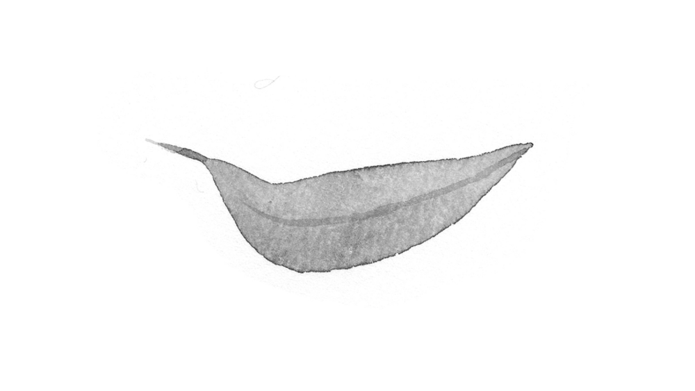 Paris Review - from "36 Ways of Writing a Vietnamese Poem" - Vimarsana News