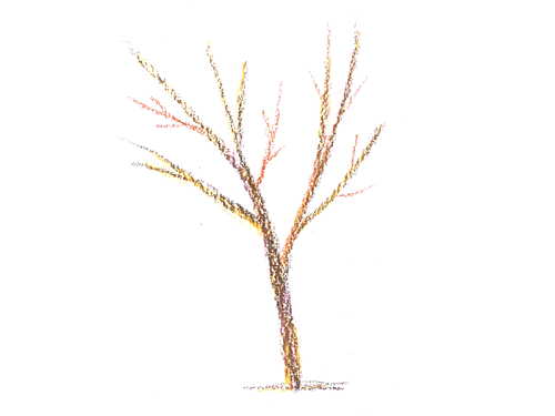 <em>from</em> “Cruel Loss of Sons”