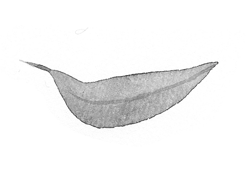 from “36 Ways of Writing a Vietnamese Poem”
