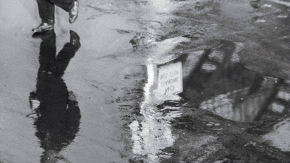 Paris Review - The Walk Book - Vimarsana News