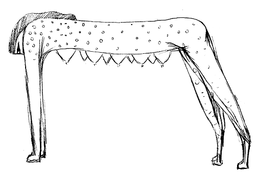 How I stole the outline of a deer