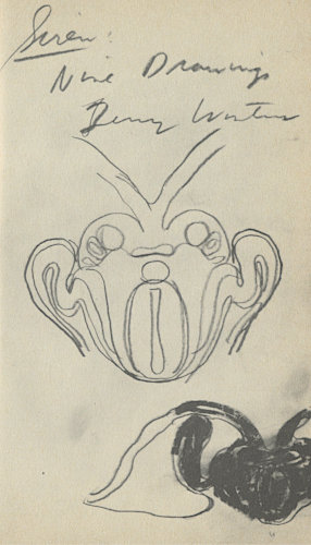 Siren: Nine Drawings
